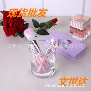 Beginners 12 iron box makeup brush set high-grade soft wool portable beauty tools full beauty salon detail