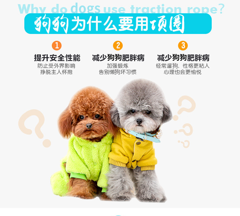 Pet Supplies Manufacturer Direct Sales Pure Cowhide Dog Collar Pure Cowhide Dog Collar Dog detail